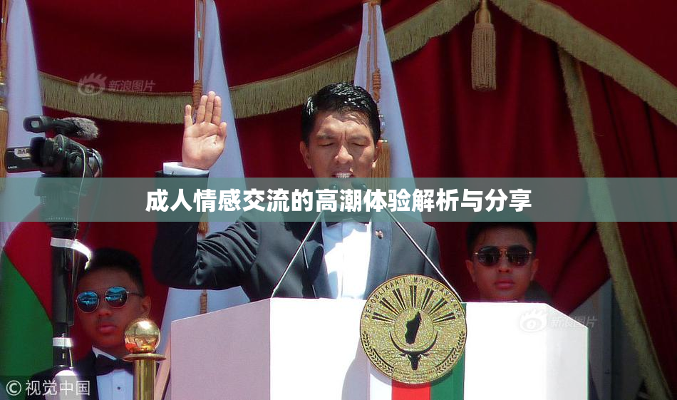 成人情感交流的高潮体验解析与分享