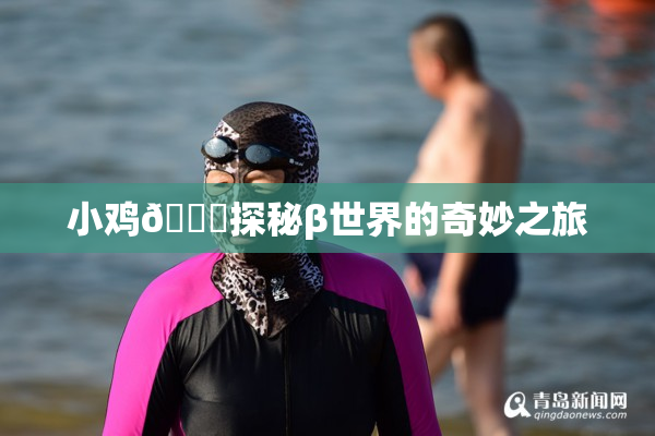 小鸡🐔探秘β世界的奇妙之旅
