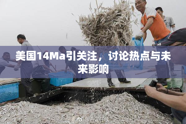 美国14Ma引关注，讨论热点与未来影响