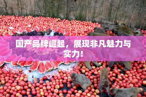 国产品牌崛起，展现非凡魅力与实力！