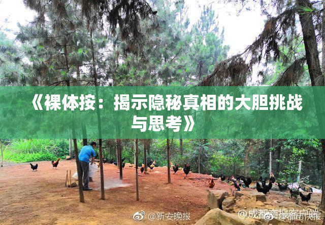 《裸体按：揭示隐秘真相的大胆挑战与思考》