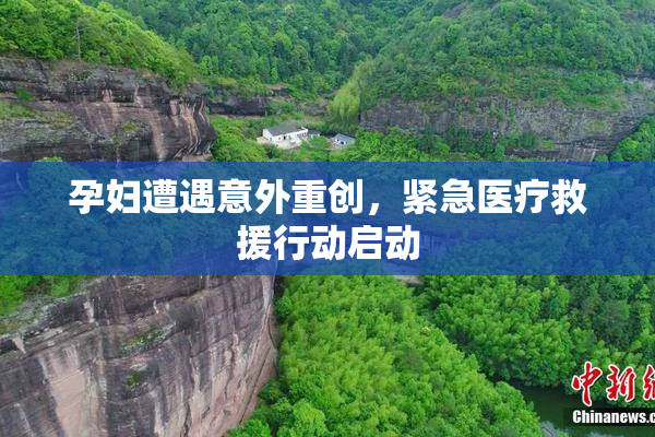 孕妇遭遇意外重创，紧急医疗救援行动启动