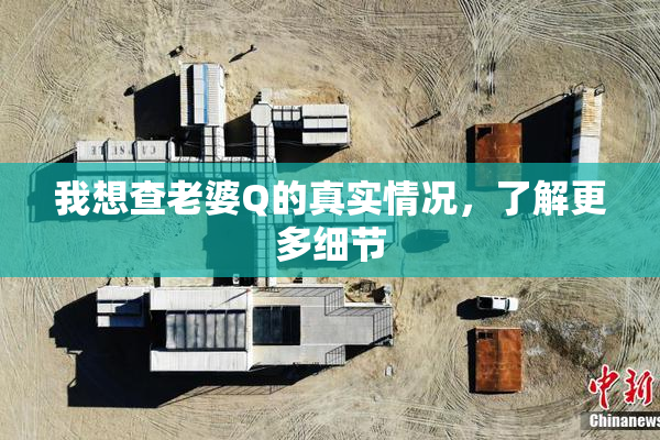 我想查老婆Q的真实情况，了解更多细节