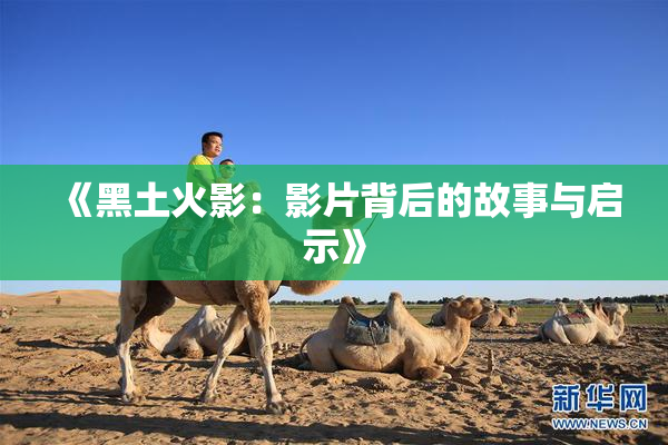 《黑土火影：影片背后的故事与启示》