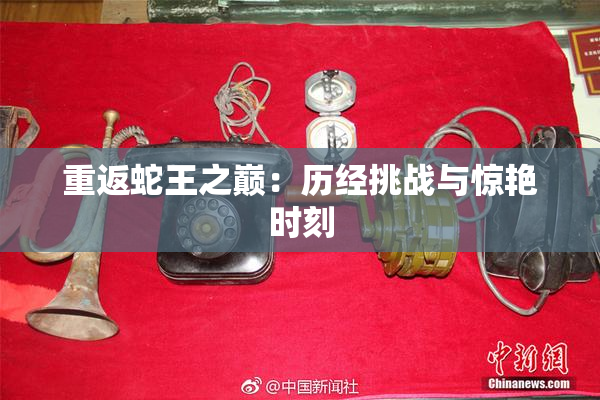 重返蛇王之巅：历经挑战与惊艳时刻