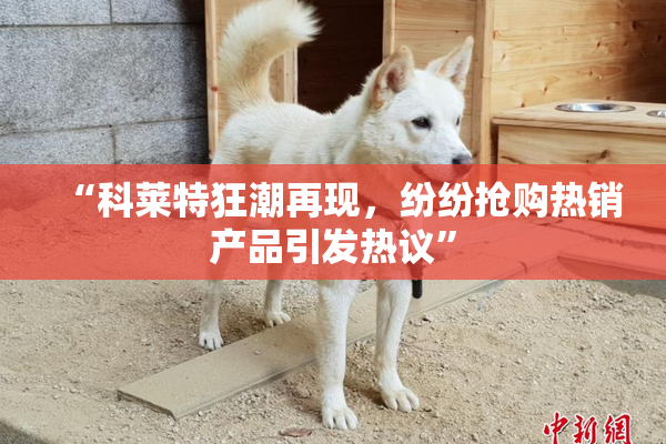 “科莱特狂潮再现，纷纷抢购热销产品引发热议”