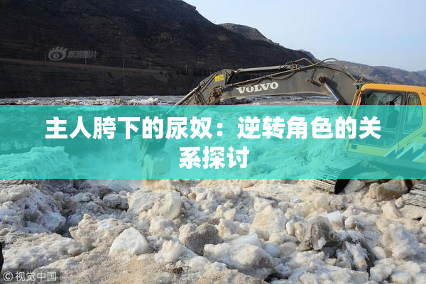 主人胯下的尿奴：逆转角色的关系探讨
