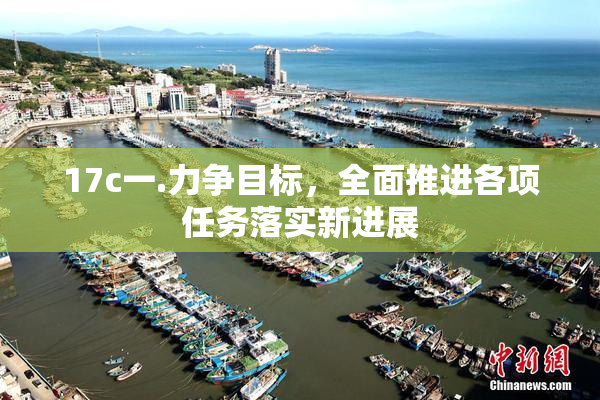 17c一.力争目标，全面推进各项任务落实新进展