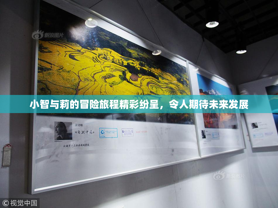 小智与莉的冒险旅程精彩纷呈，令人期待未来发展
