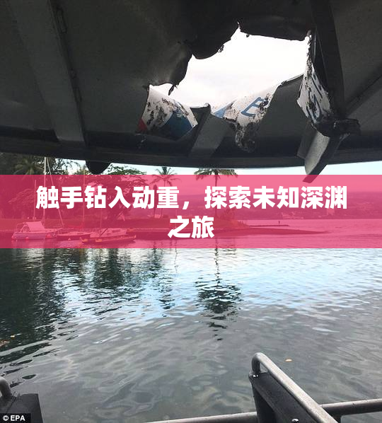 触手钻入动重，探索未知深渊之旅
