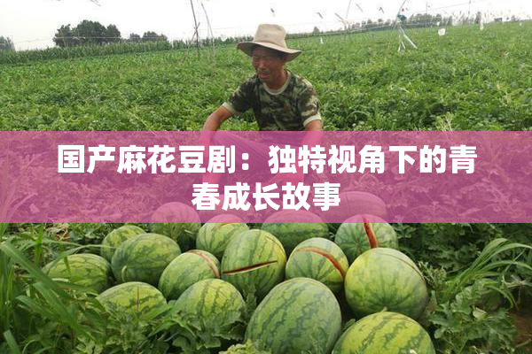 国产麻花豆剧：独特视角下的青春成长故事