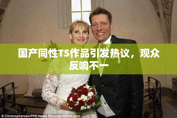 国产同性TS作品引发热议，观众反响不一