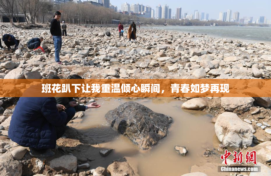 班花趴下让我重温倾心瞬间，青春如梦再现