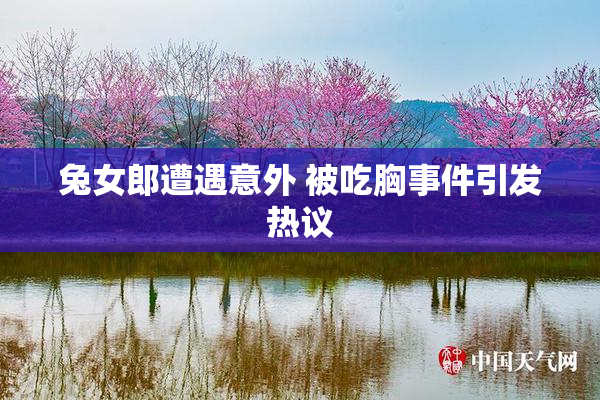 兔女郎遭遇意外 被吃胸事件引发热议