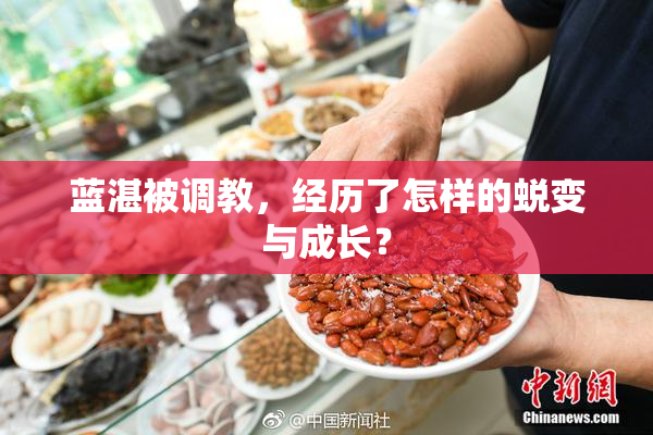 蓝湛被调教，经历了怎样的蜕变与成长？