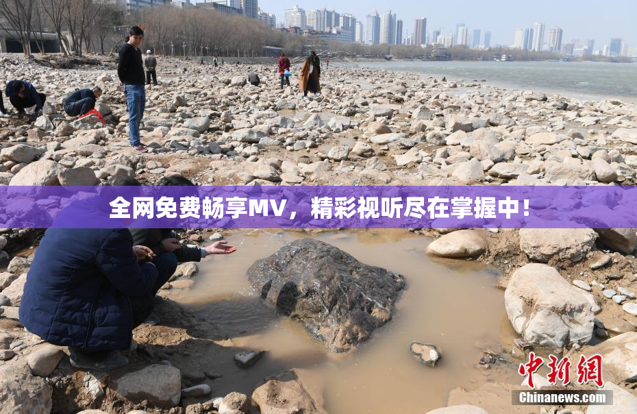 全网免费畅享MV，精彩视听尽在掌握中！