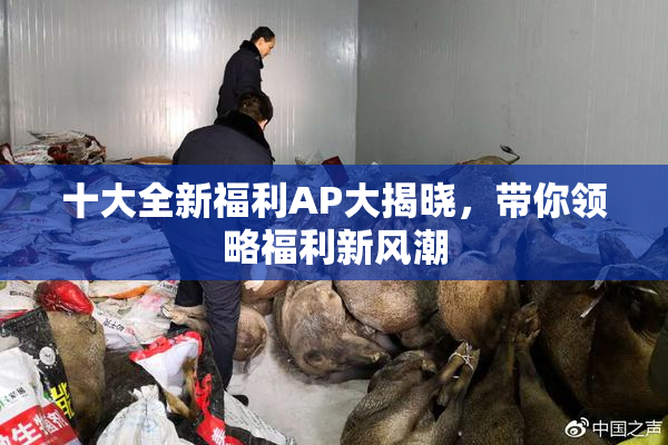 十大全新福利AP大揭晓，带你领略福利新风潮