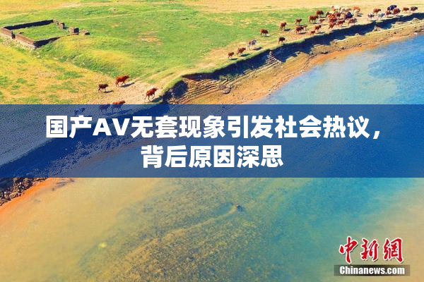 国产AV无套现象引发社会热议，背后原因深思