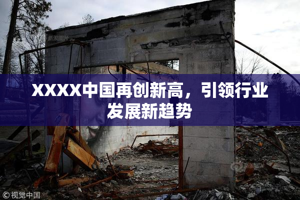XXXX中国再创新高，引领行业发展新趋势