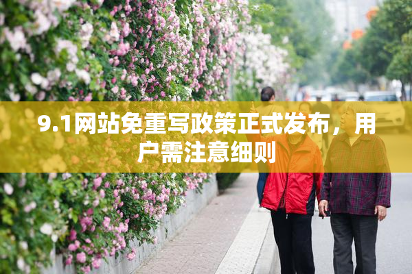 9.1网站免重写政策正式发布，用户需注意细则