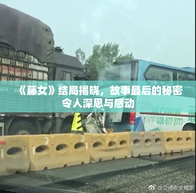 《藤女》结局揭晓，故事最后的秘密令人深思与感动