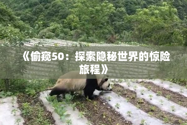《偷窥50：探索隐秘世界的惊险旅程》