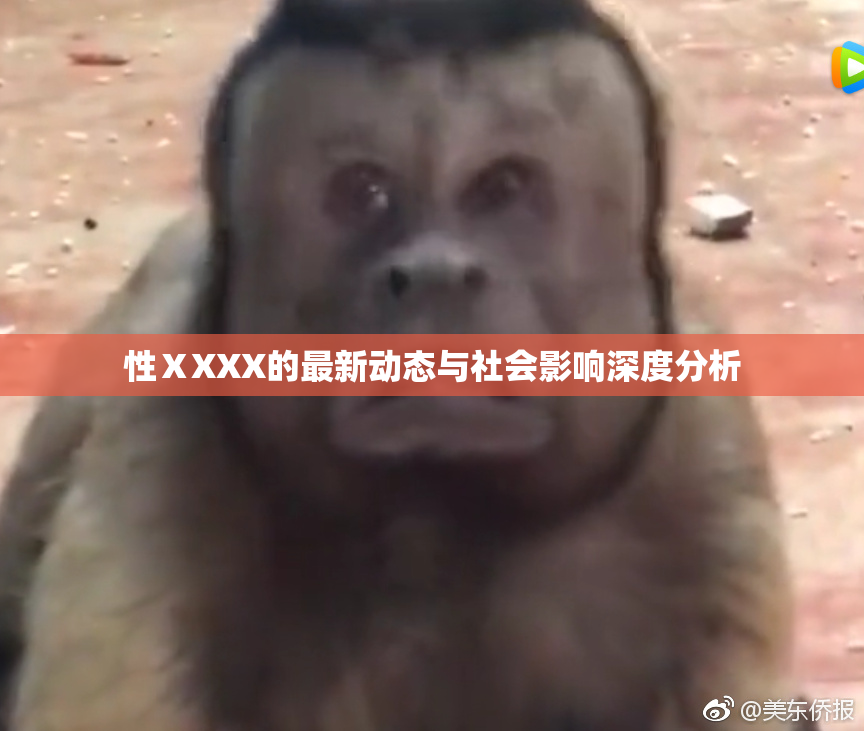 性ⅩXXX的最新动态与社会影响深度分析