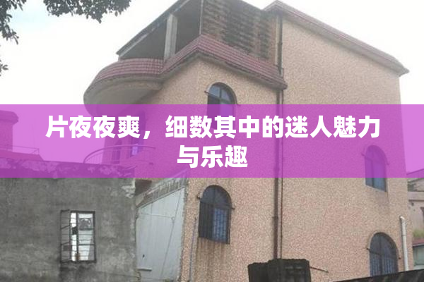 片夜夜爽，细数其中的迷人魅力与乐趣