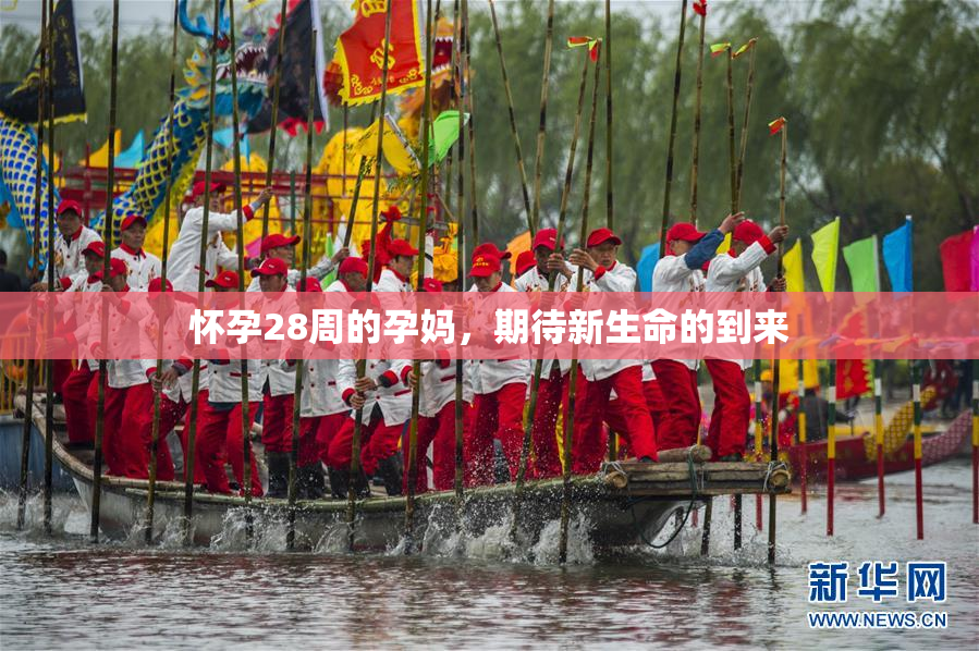 怀孕28周的孕妈，期待新生命的到来