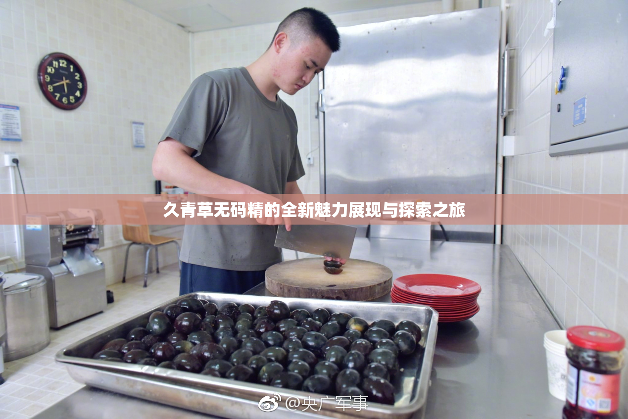 久青草无码精的全新魅力展现与探索之旅