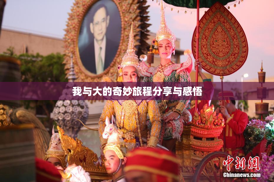 我与大的奇妙旅程分享与感悟