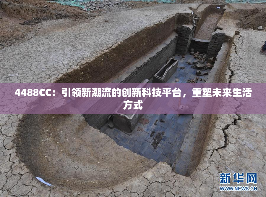 4488CC：引领新潮流的创新科技平台，重塑未来生活方式