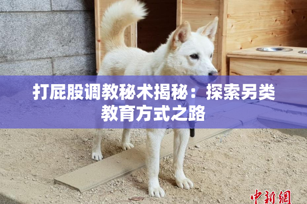 打屁股调教秘术揭秘：探索另类教育方式之路