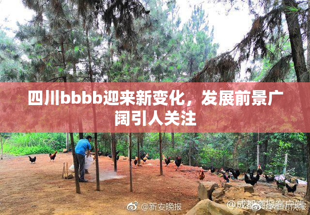 四川bbbb迎来新变化，发展前景广阔引人关注