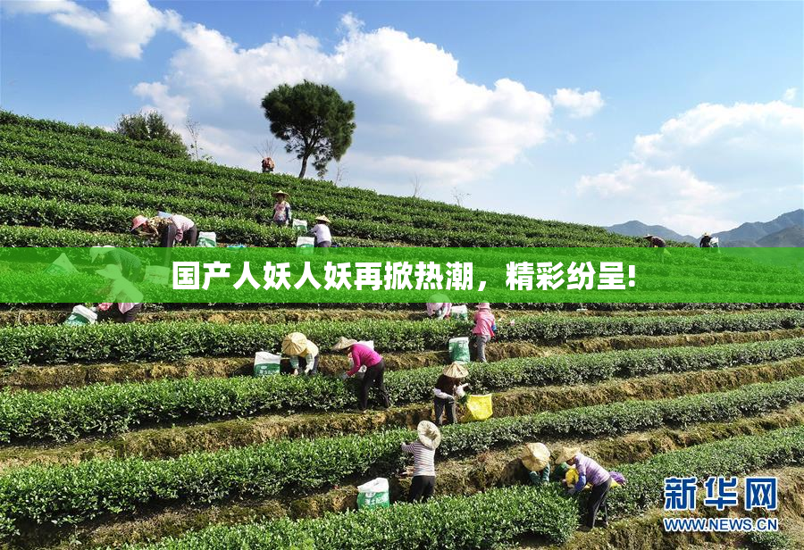 国产人妖人妖再掀热潮，精彩纷呈!