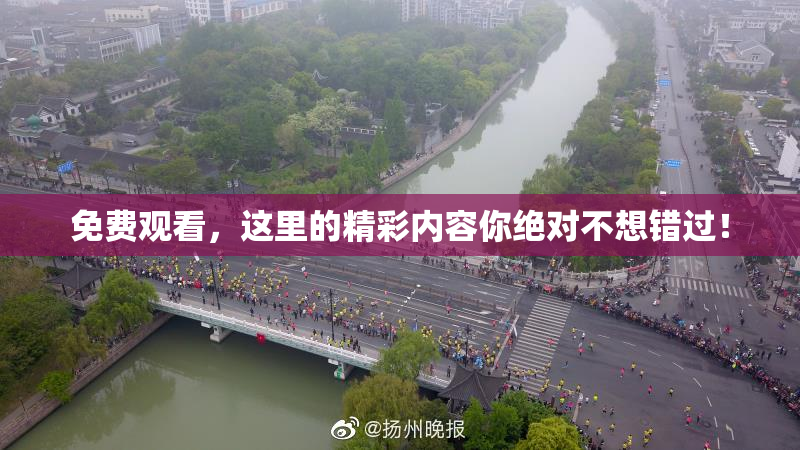 免费观看，这里的精彩内容你绝对不想错过！