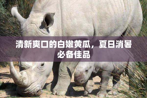 清新爽口的白嫩黄瓜，夏日消暑必备佳品