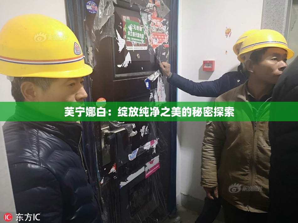 芙宁娜白：绽放纯净之美的秘密探索