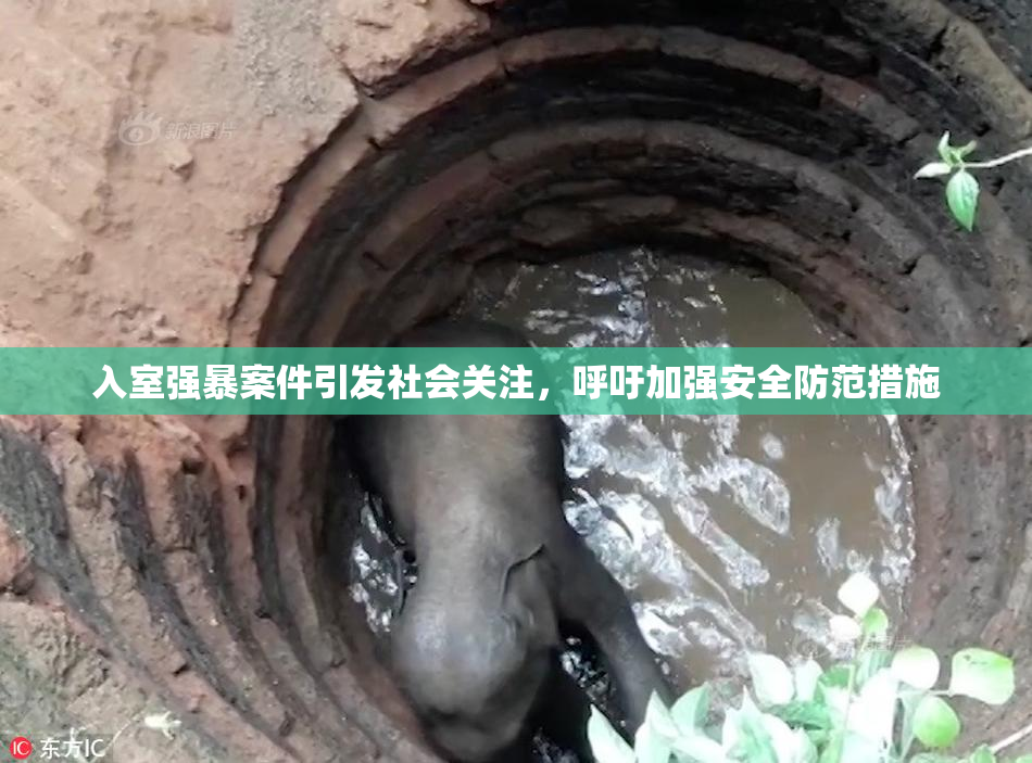 入室强暴案件引发社会关注，呼吁加强安全防范措施