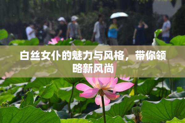 白丝女仆的魅力与风格，带你领略新风尚