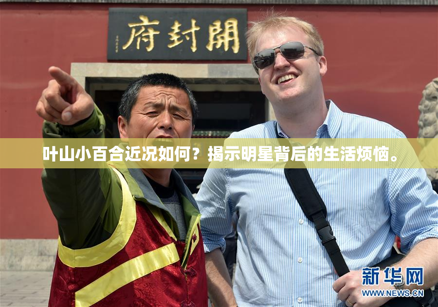叶山小百合近况如何？揭示明星背后的生活烦恼。