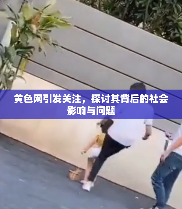黄色网引发关注，探讨其背后的社会影响与问题
