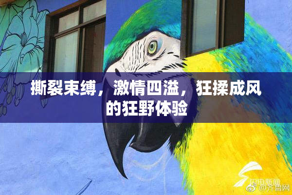 撕裂束缚，激情四溢，狂揉成风的狂野体验