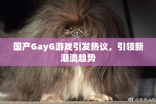 国产GayG游戏引发热议，引领新潮流趋势