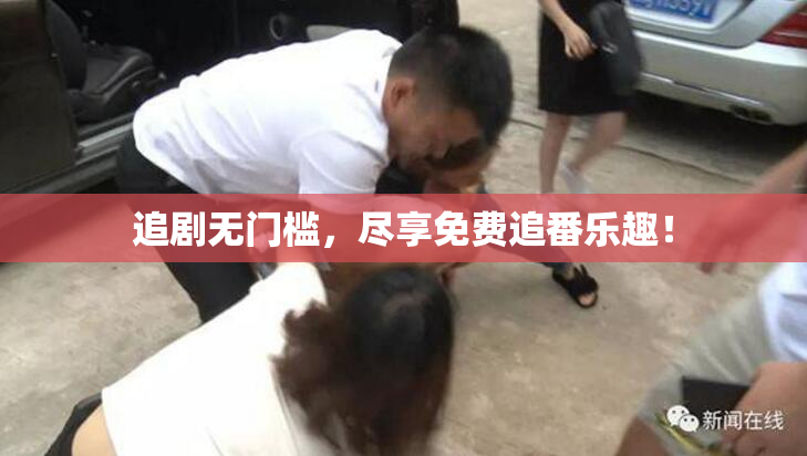 追剧无门槛，尽享免费追番乐趣！