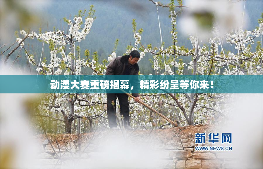 动漫大赛重磅揭幕，精彩纷呈等你来！