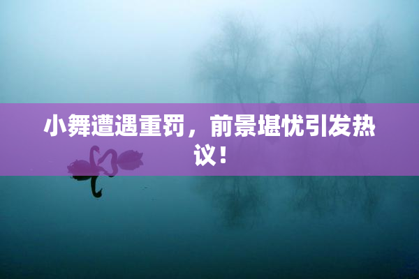 小舞遭遇重罚，前景堪忧引发热议！