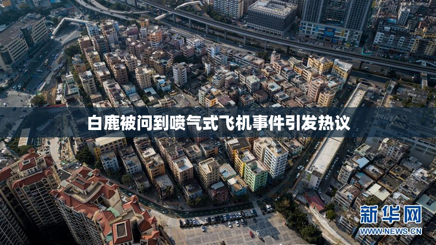 白鹿被问到喷气式飞机事件引发热议