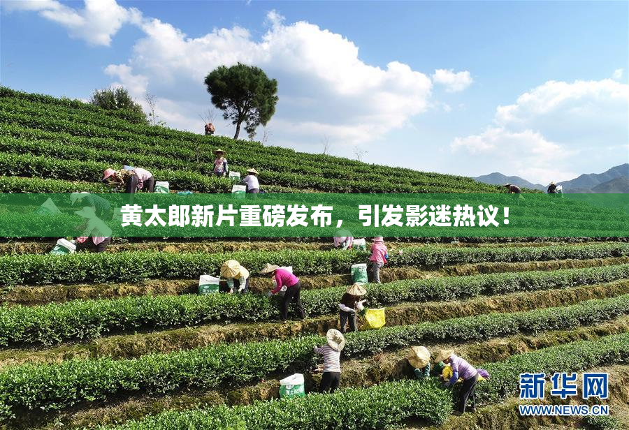 黄太郎新片重磅发布，引发影迷热议！