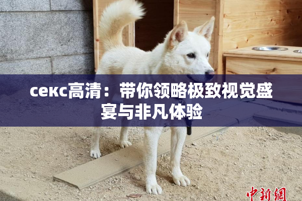 ceкс高清：带你领略极致视觉盛宴与非凡体验